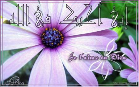 ma fleur est belle