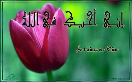 lA fleur est rouge