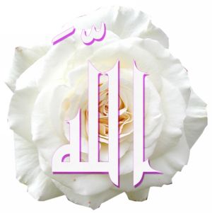 ALLAH RAZKON